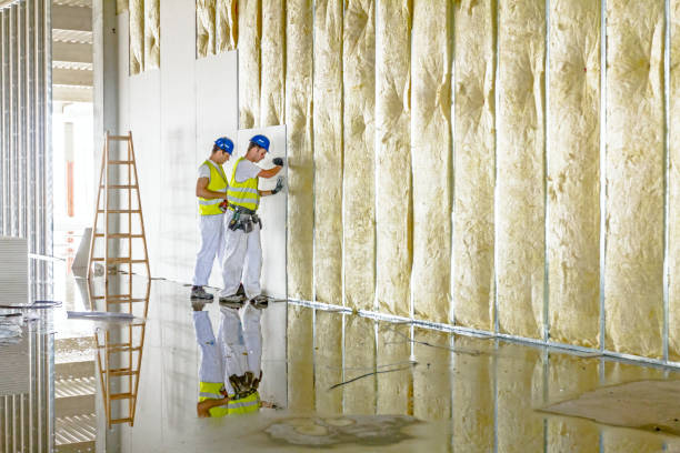 Best Insulation for New Construction  in Corte Madera, CA